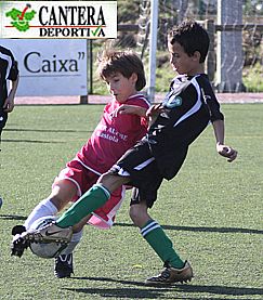 Imagen principal noticia