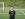 Imagen jugador CD Txurdinaga